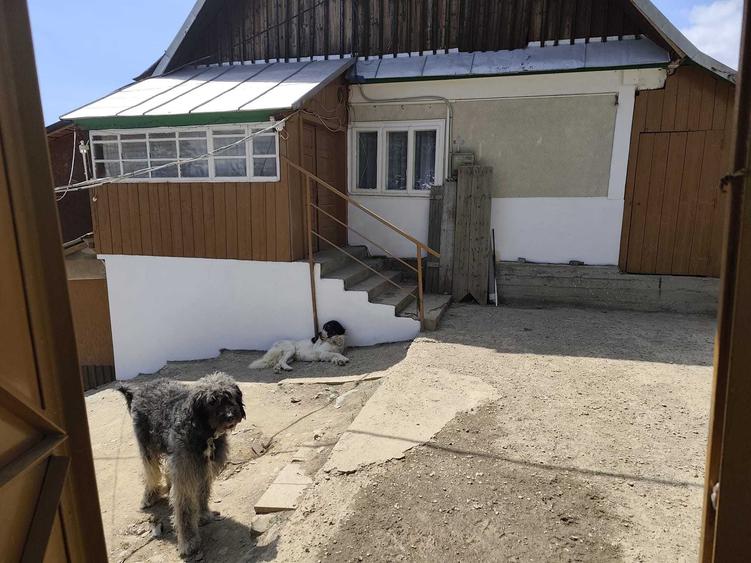 Casă cu 4 camere în Arieșeni