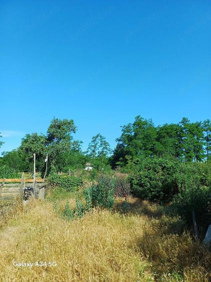 Teren de 1067 mp, în Grozești