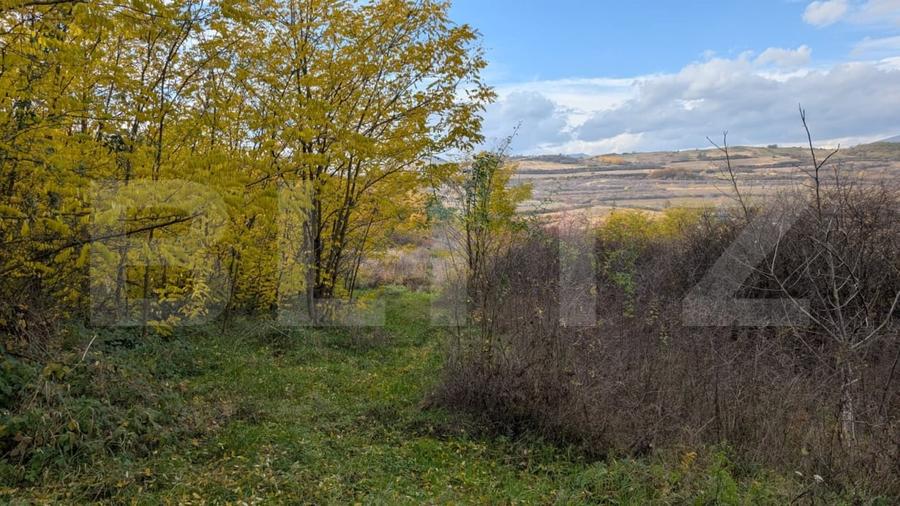 Teren agricol extravilan de 1000 mp, în Șard