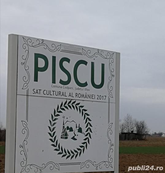 Teren de 1909 mp, în Piscu