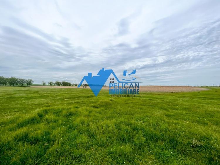 Teren Construcții extravilan de 27500 mp, în Murighiol