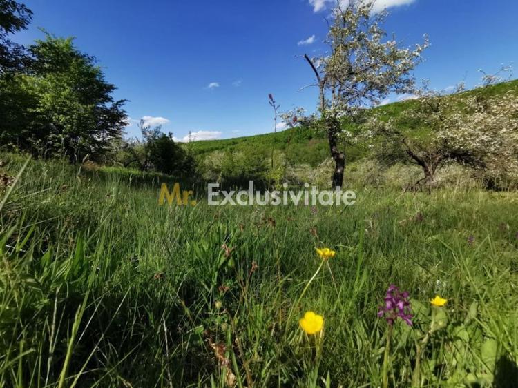 Teren de 680 mp, în Budeasa