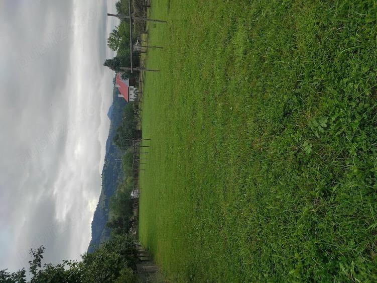 Teren de 1843 mp, în Lunca