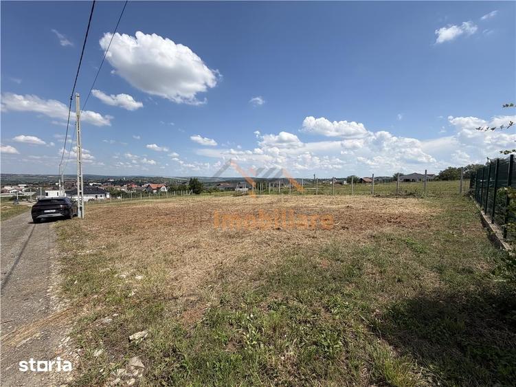 TEREN INTRAVILAN 800 MP | ZONA PALEU | BIHOR - 3