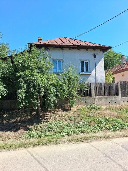 Casă cu 5 camere cu Teren 3500 Mp în Vârvor