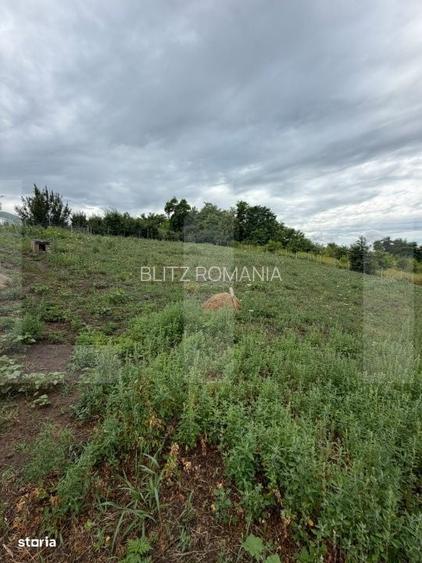Teren intravilan, Dorohoi, 1532 mp, in apropiere de Gradina de Vara