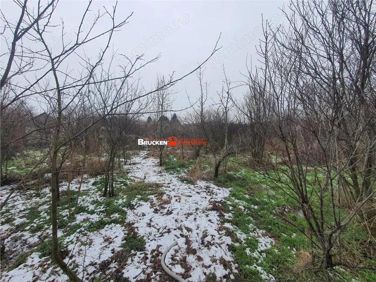 Casă cu Teren 9504 Mp în Poclușa de Barcău