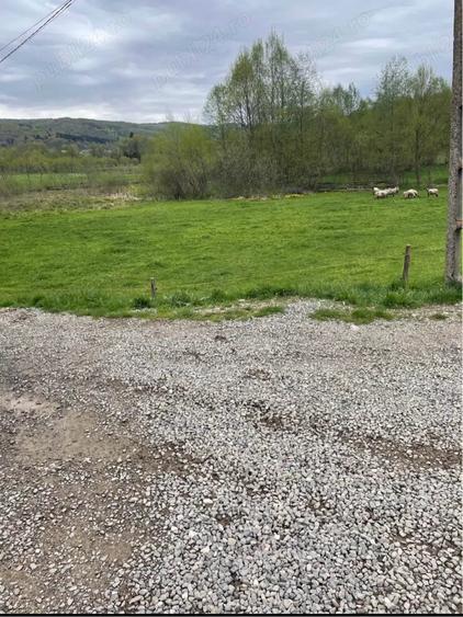 Teren de 1500 mp, în Vama Buzăului