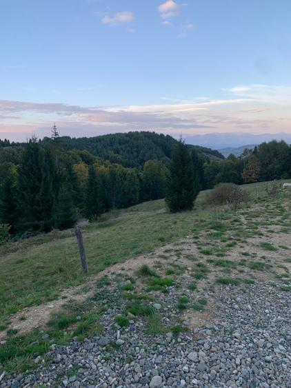 Teren de vânzare extravilan 5000 mp satul Glod Maramureș  - 13