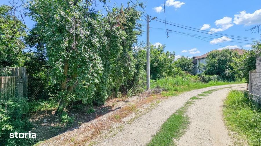 Curte 3200 mp Bolintin Vale, intravilan, intre case - 13