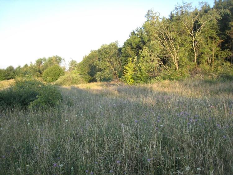Teren Construcții intravilan de 5700 mp, în Chinteni