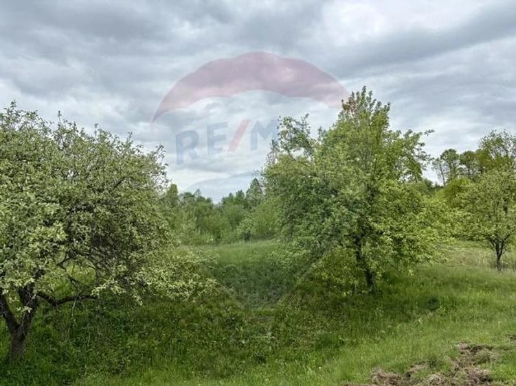 Teren de 20876 mp, în Breb