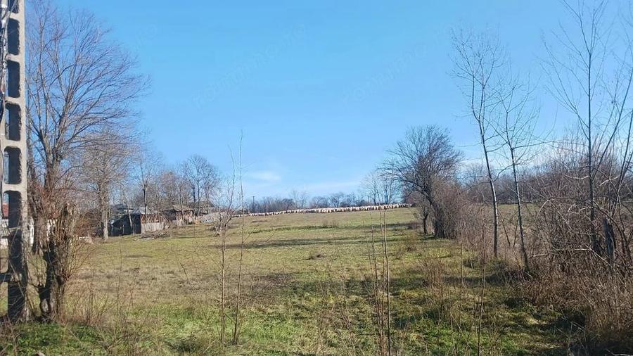 Teren de 6500 mp, în Gliganu de Sus