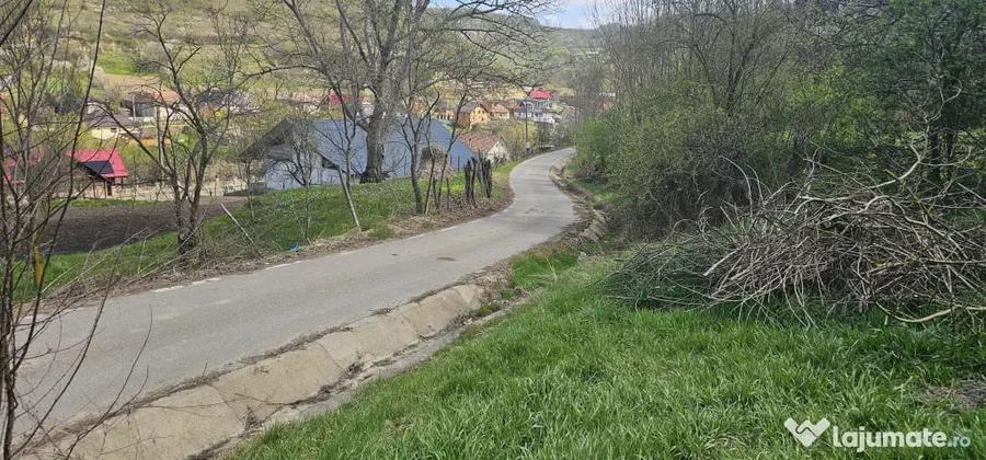 Verme? - Bistrita Nasaud - Teren Intravilan - 35 Ari - Pret in euro pe Ar - 6