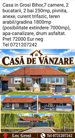 Casa de vanzare in Grosi Bihor
