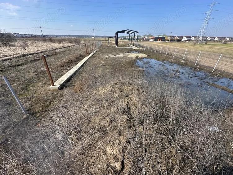 Teren de 2000 mp, în Săbăreni