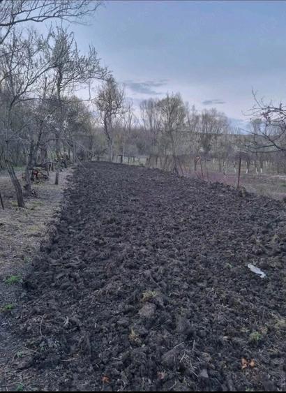 Casă cu 3 camere în Macoviște (Ciuchici)