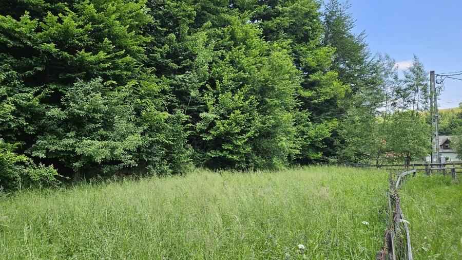 Teren Construcții intravilan de 1600 mp, în Sita Buzăului