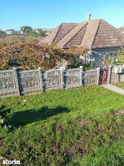 Casă cu Teren 15000 Mp în Central