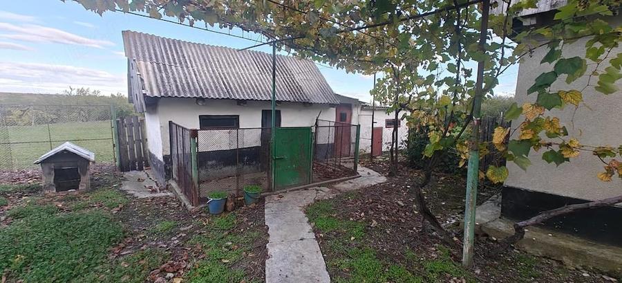 Casă cu Teren 5500 Mp în Central