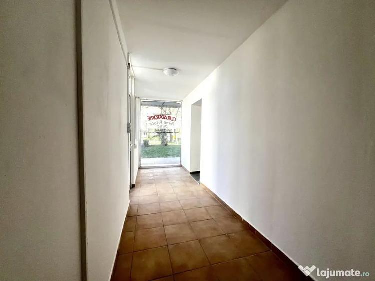 Spațiu comercial, de 40 mp, în Lipovei