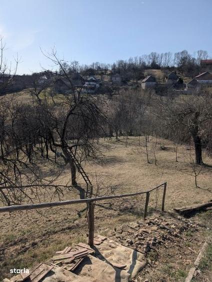 Teren de 2784 mp, în Căpușu Mare