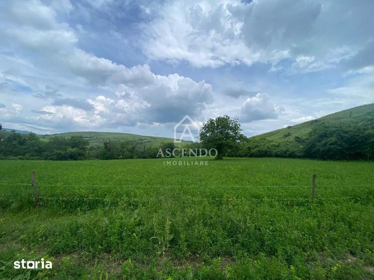 Teren de 15900 mp, în Năeni