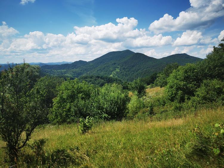 Teren de 42500 mp, în Barbura