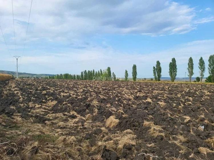 Teren de vanzare in apropiere de autostrada
