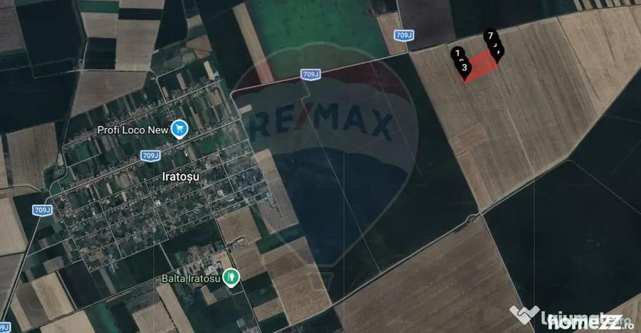 Teren extravilan 46,300mp Curtici - 5