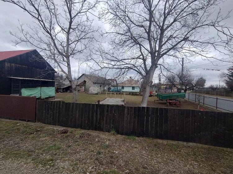 Casă cu Teren 3976 Mp în Dumbrăvița