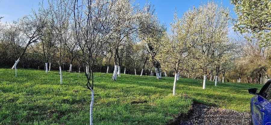 Teren de 3600 mp, în Botinești