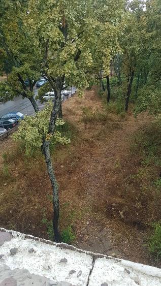 Teren Construcții intravilan de 2450 mp, în Central