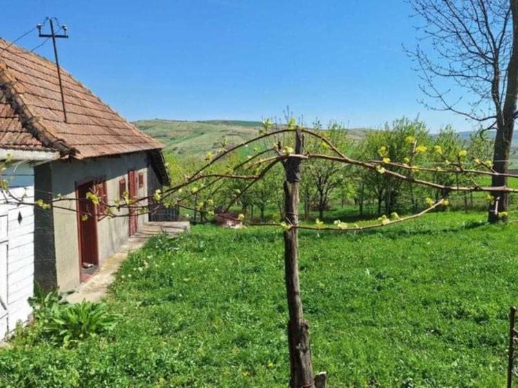 Casă cu 2 camere în Vale