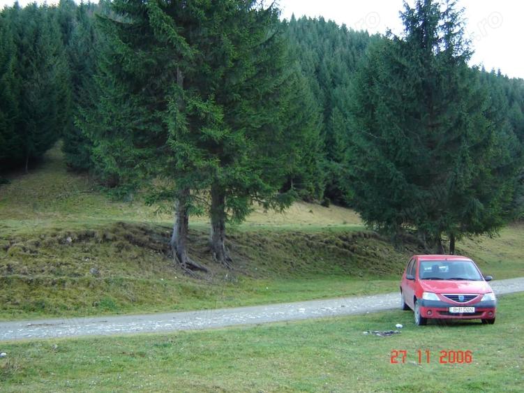 Teren în Plaiul Foii