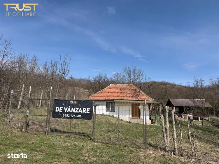 Spațiu comercial, în Corpadea