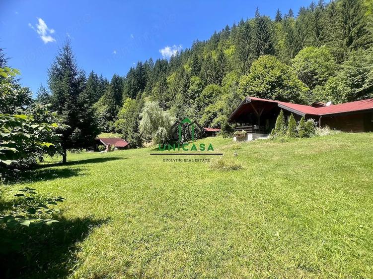 Casă cu Teren 2560 Mp în Voineșița
