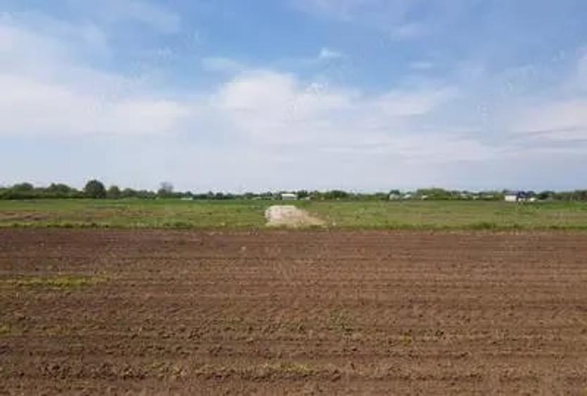 Teren de 8655 mp, în Dascălu