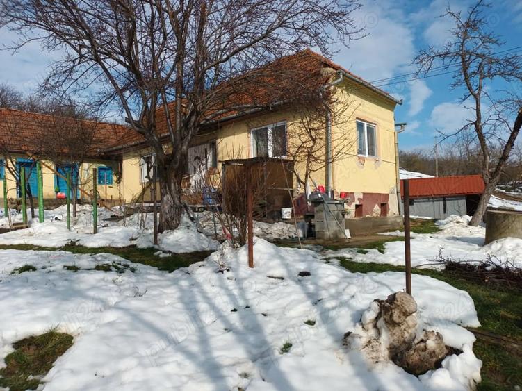 Casă cu 2 camere în Henig