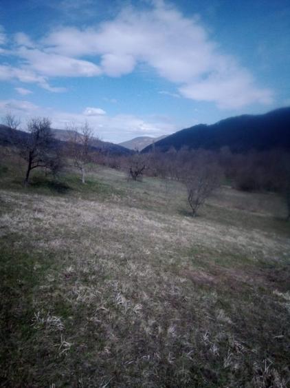 Teren agricol extravilan de 27500 mp, în Geoagiu-Băi