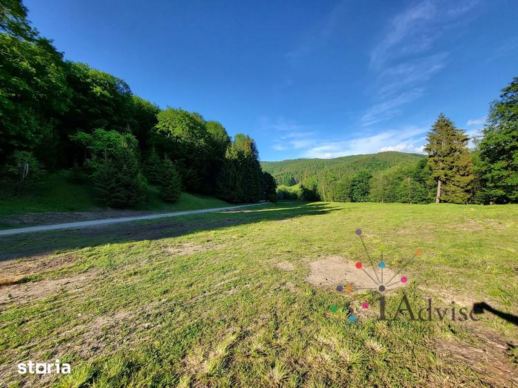 Teren de 12000 mp, în Vama Buzăului