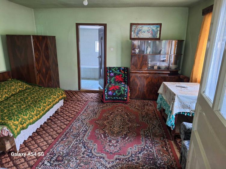 De vanzare casa si gradina in Rebrisoara - 3