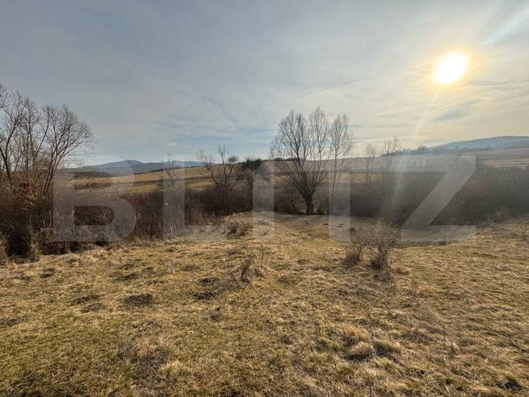 Teren agricol extravilan de 11200 mp, în Sud