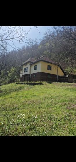Casa de vanzare in zona de munte Mehedinti, com. Podeni - 6