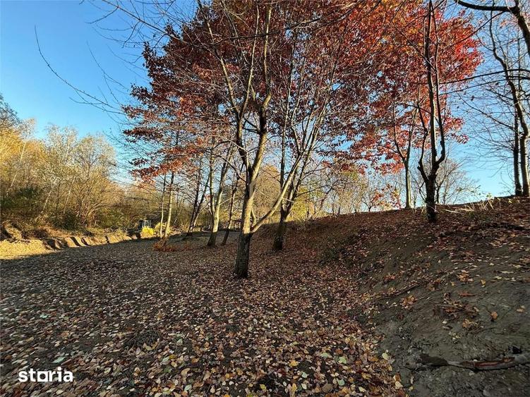 Teren de 10000 mp, în Recea