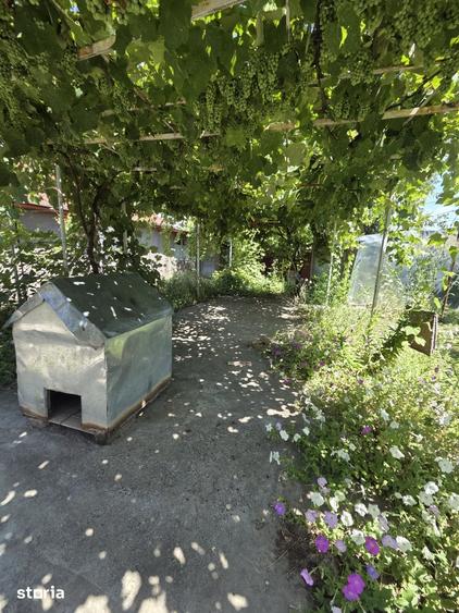 Casă cu 4 camere cu Teren 500 Mp în Radu Negru
