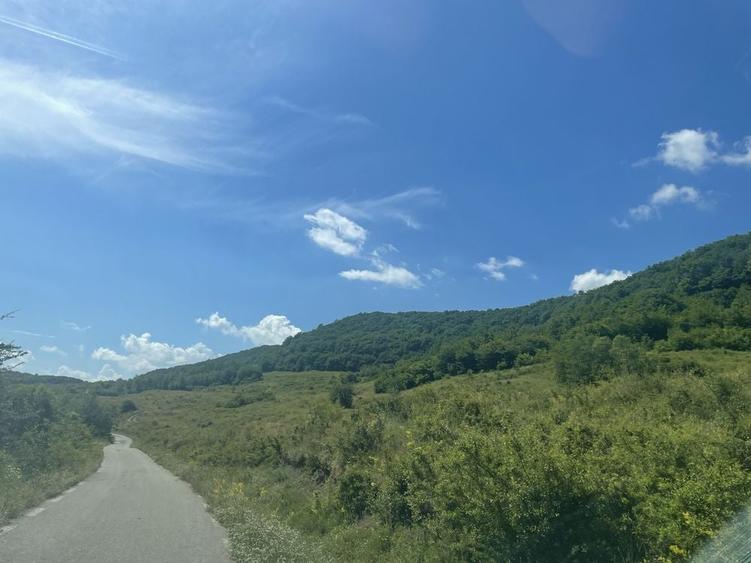 Teren de 16000 mp, în Beudiu