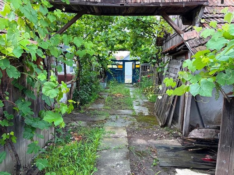 Casă cu Teren 1800 Mp în Central
