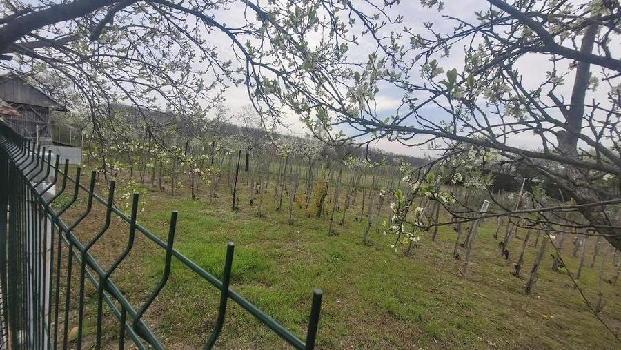 Casa de vanzare in satul Stoice?ti, comuna Bulze?ti, judetul Dolj - 3