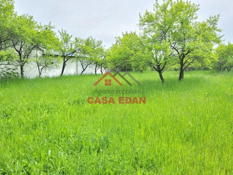 Casă cu Teren 3999 Mp în Scorțeni